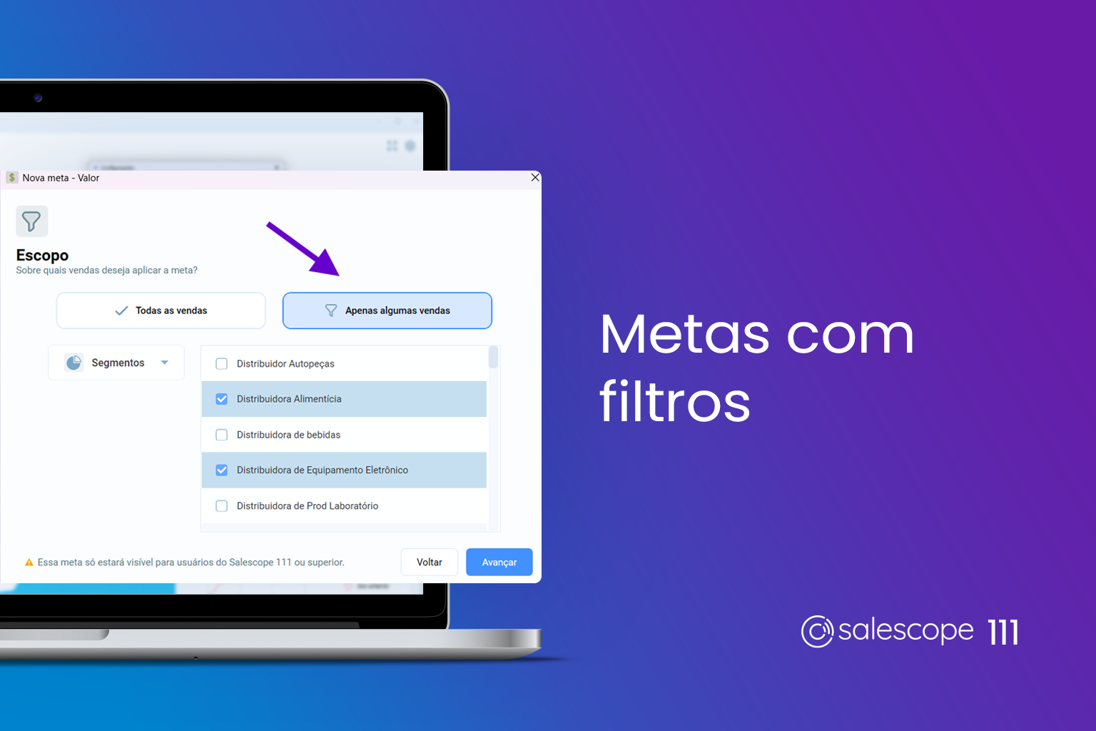 Metas com filtros [Salescope 111]