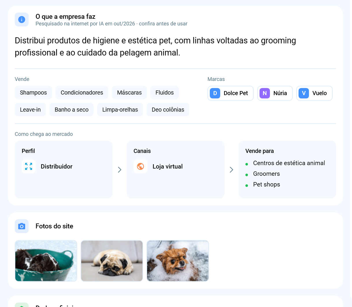 Informações do cliente reunidas pelo Salescope